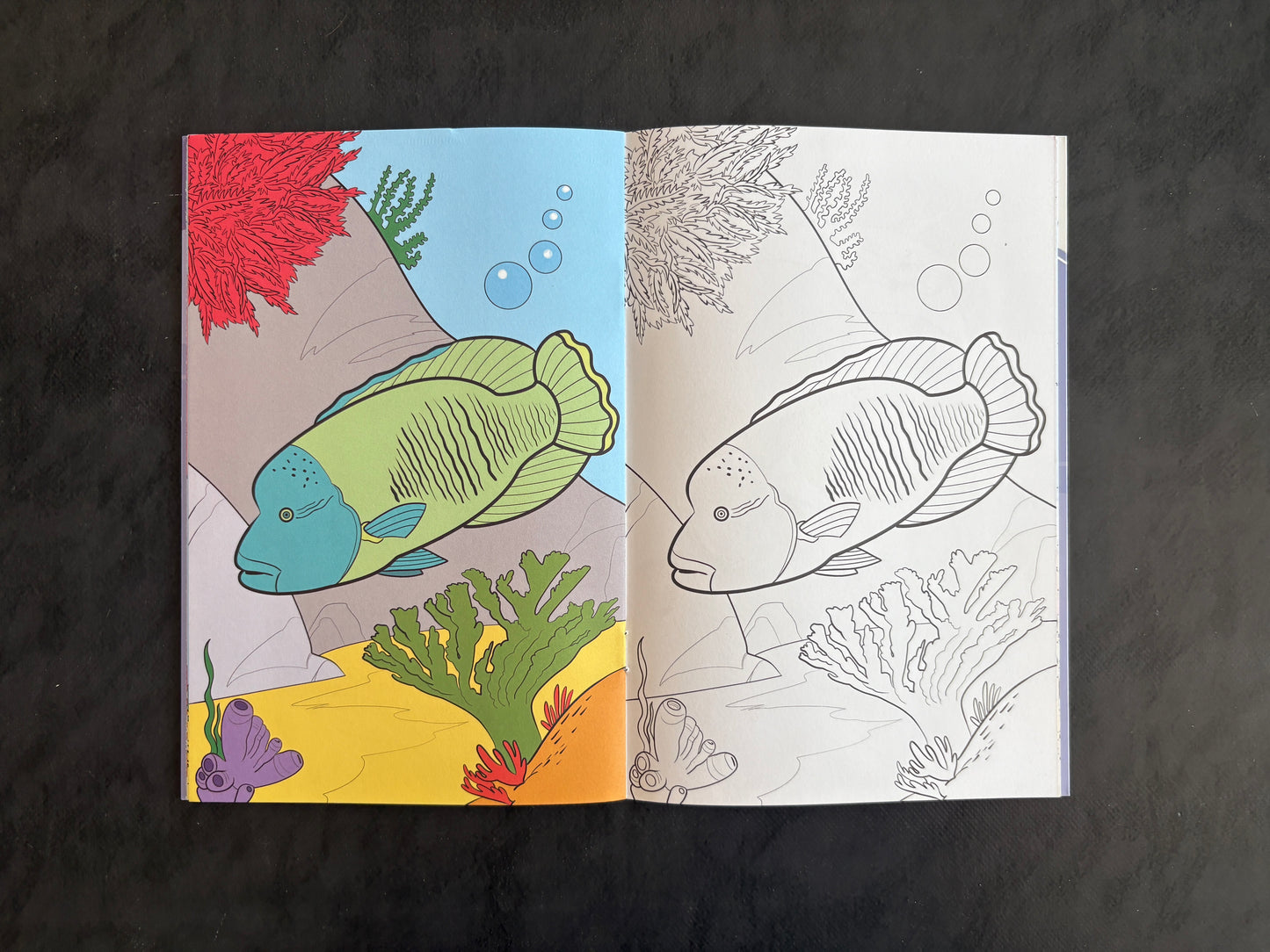 Livre de coloriage - Les animaux de récifs (4-7 ans)