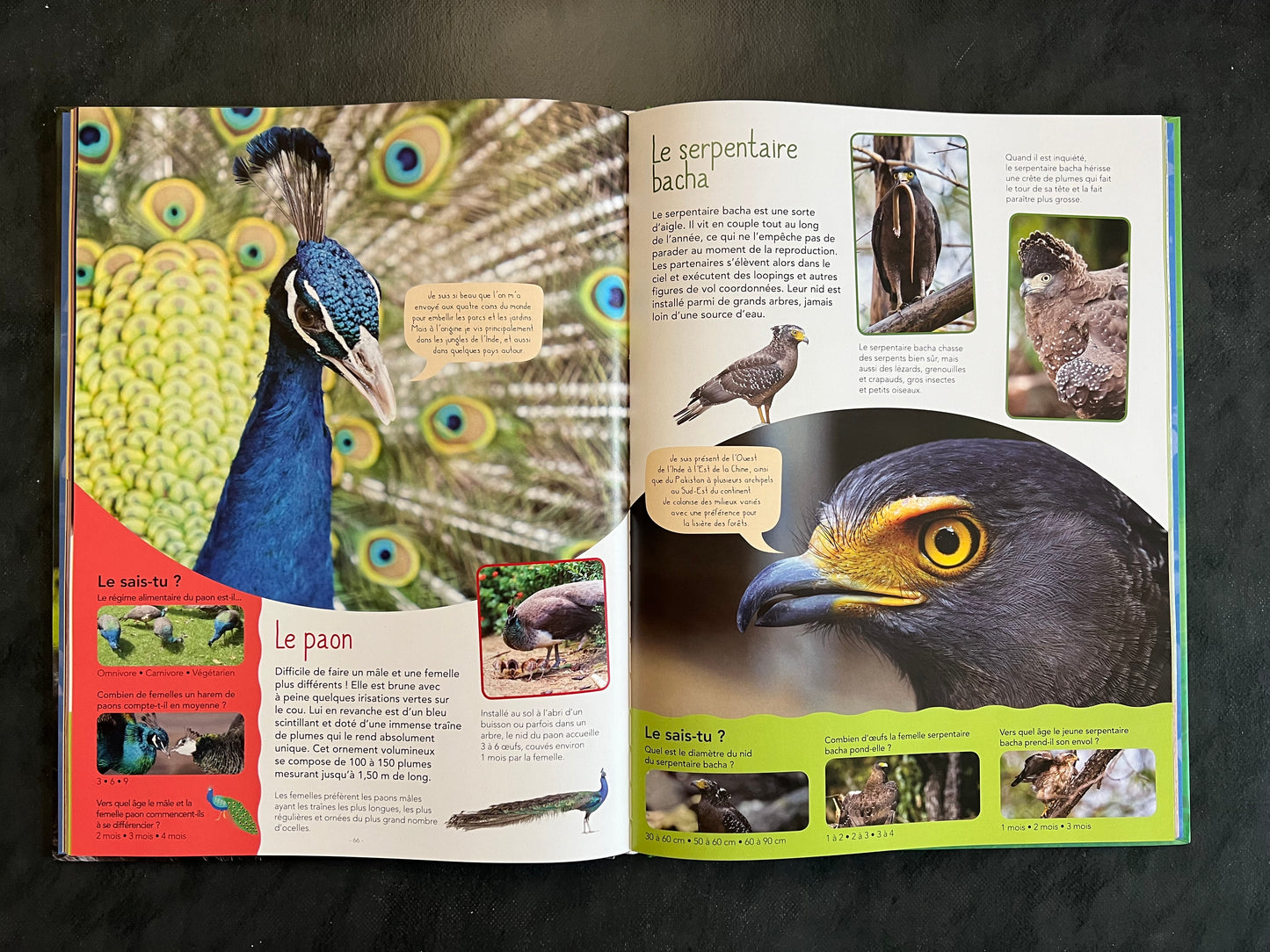 Mon animalier autour du monde