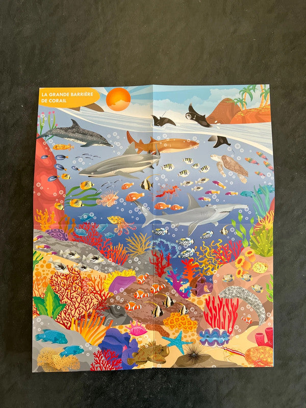 Plongée dans les mers et océans