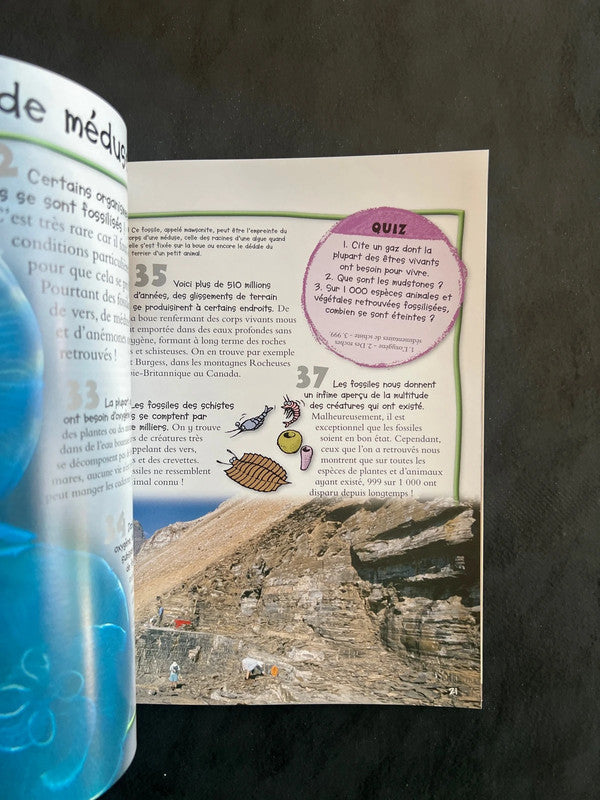 Livre 100 infos à connaître - les fossiles