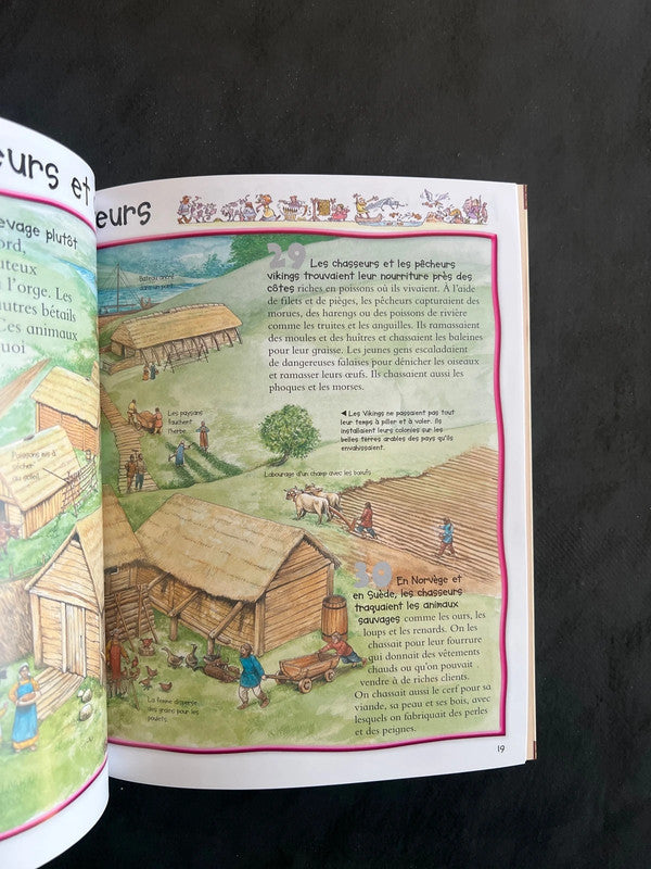 Livre 100 infos à connaître - les vikings