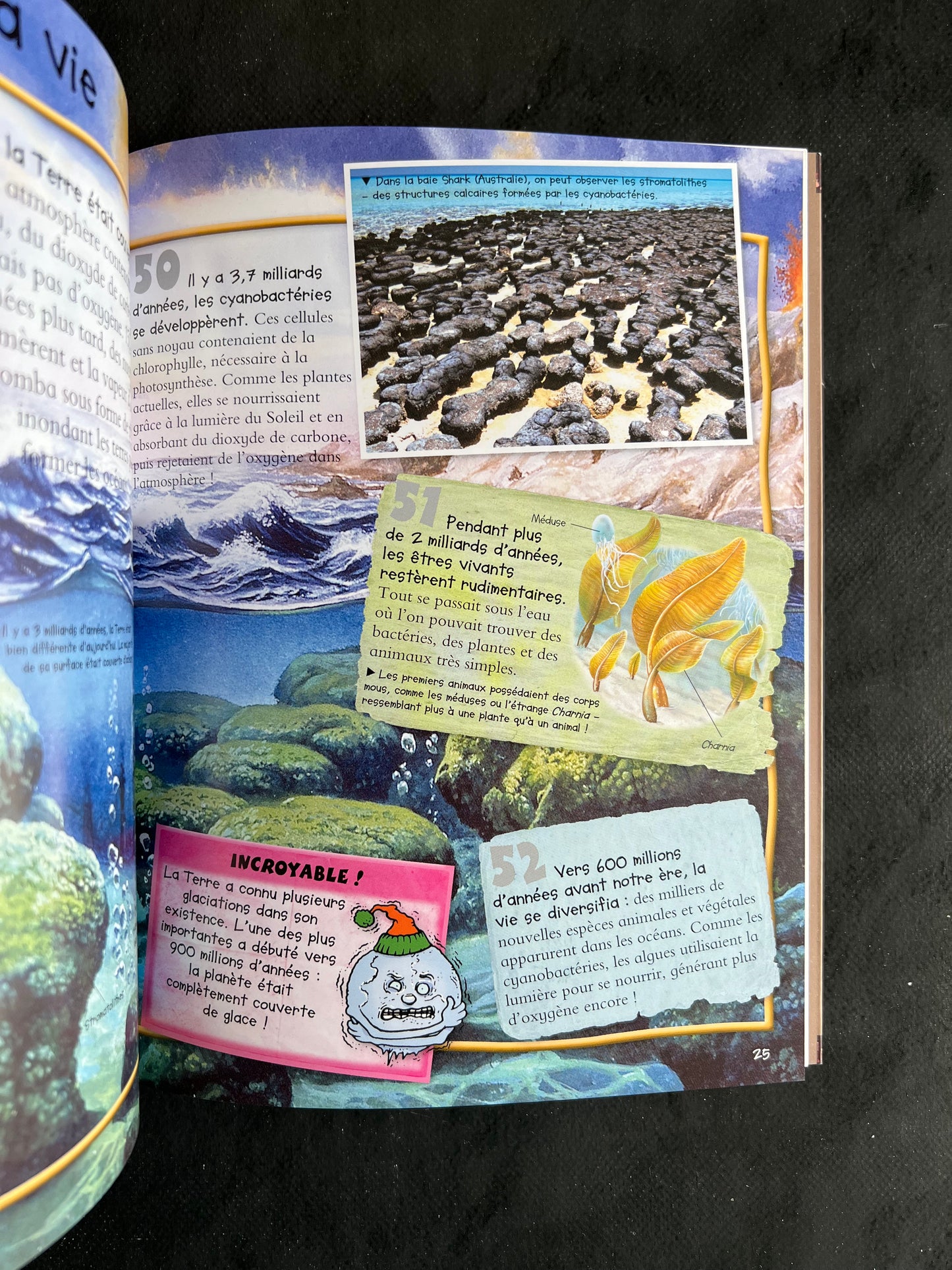 100 infos à connaître - l'évolution