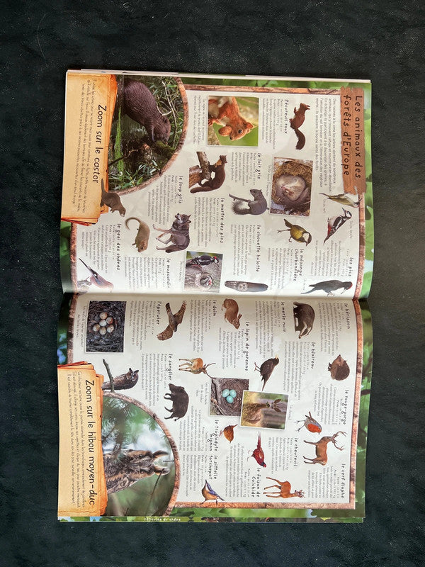 La vie des arbres - Livre d'activités avec autocollants et pochoirs (5-8 ans)