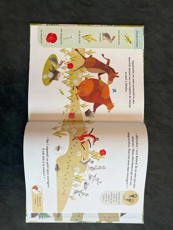 Qui est passé là ?