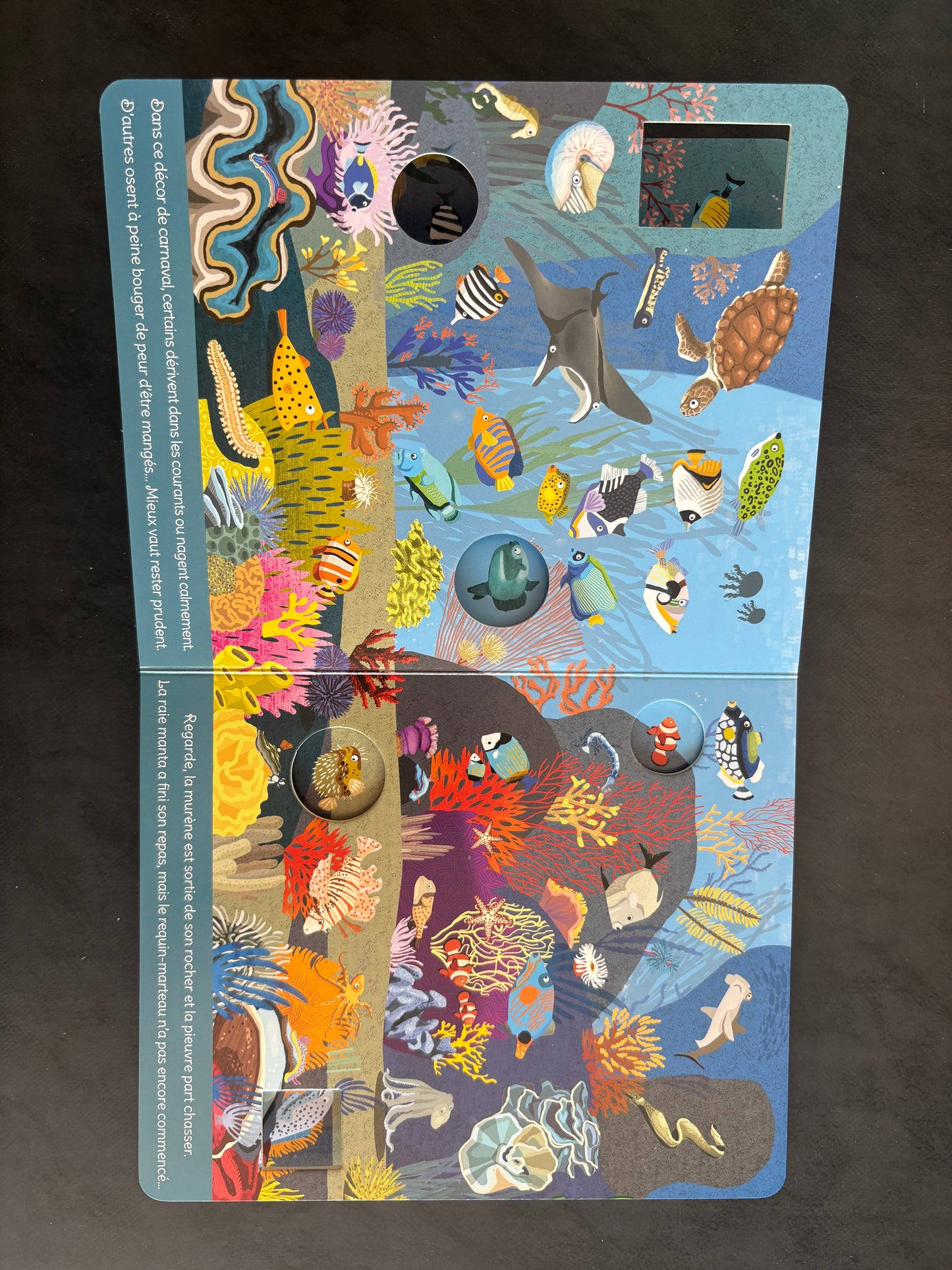 Livre cartonné - dans les mers