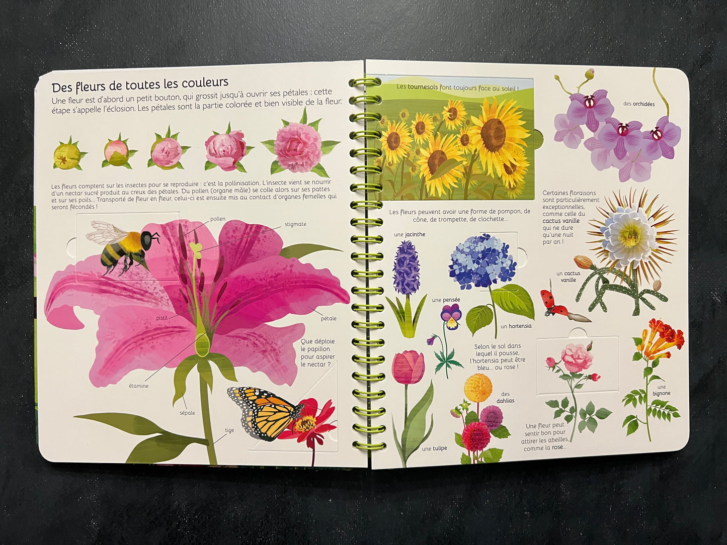 Livre à volets - arbres et plantes