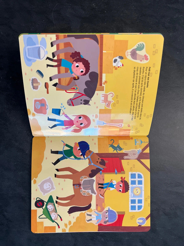 100 autocollants repositionnables - les cavalières