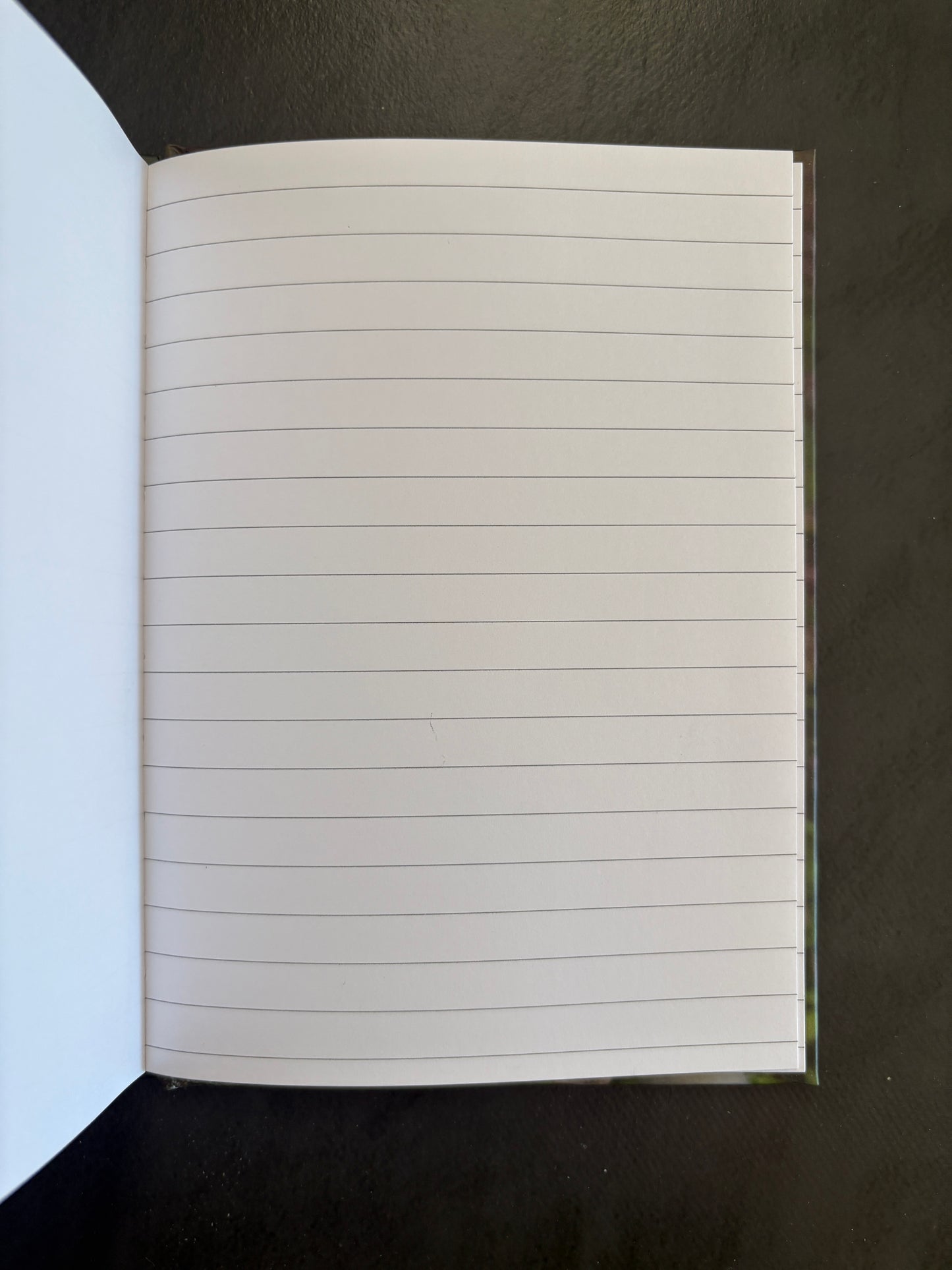 Carnet de notes - chouette