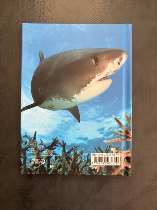 Carnet de notes - requin