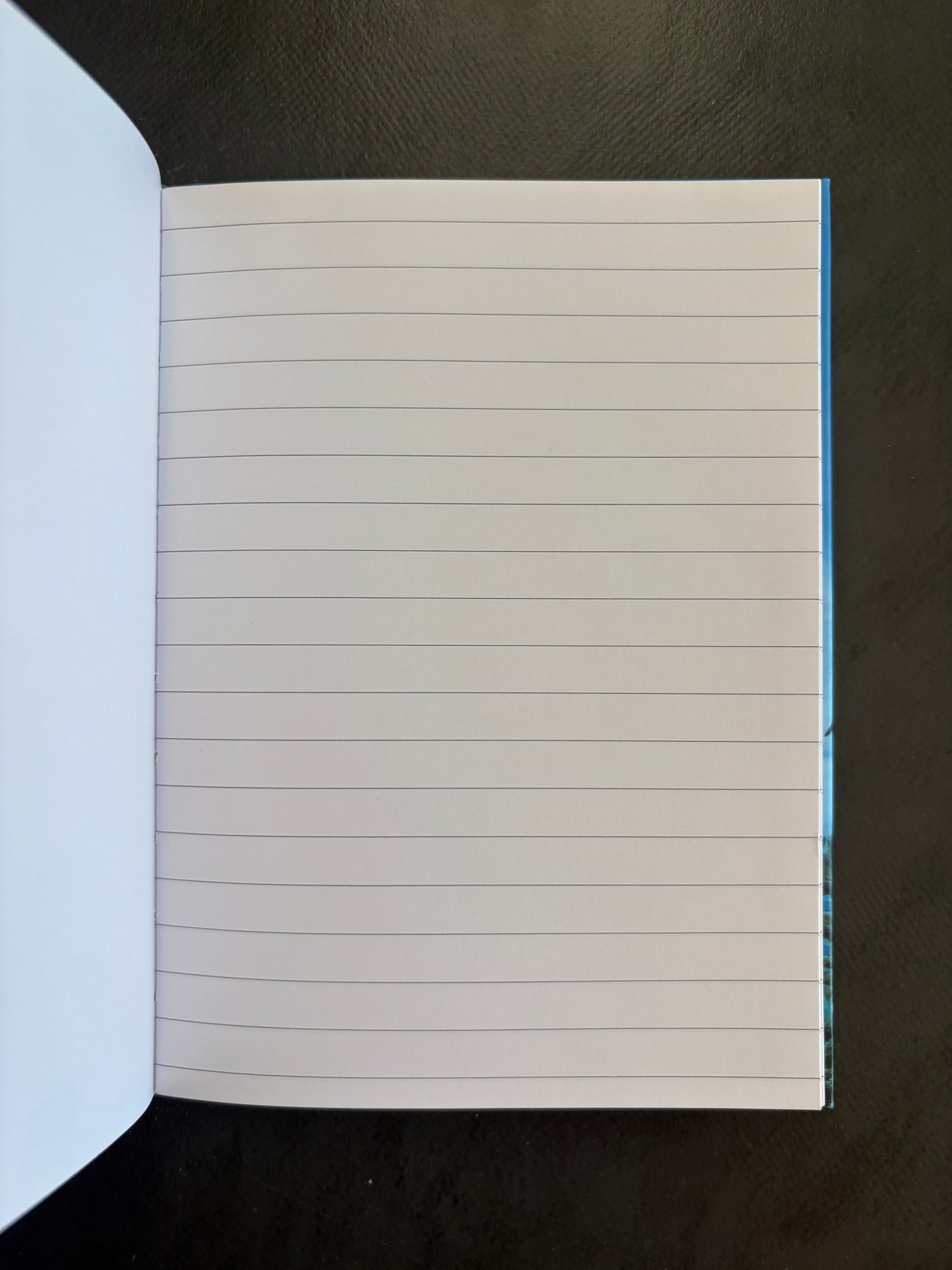 Carnet de notes - requin