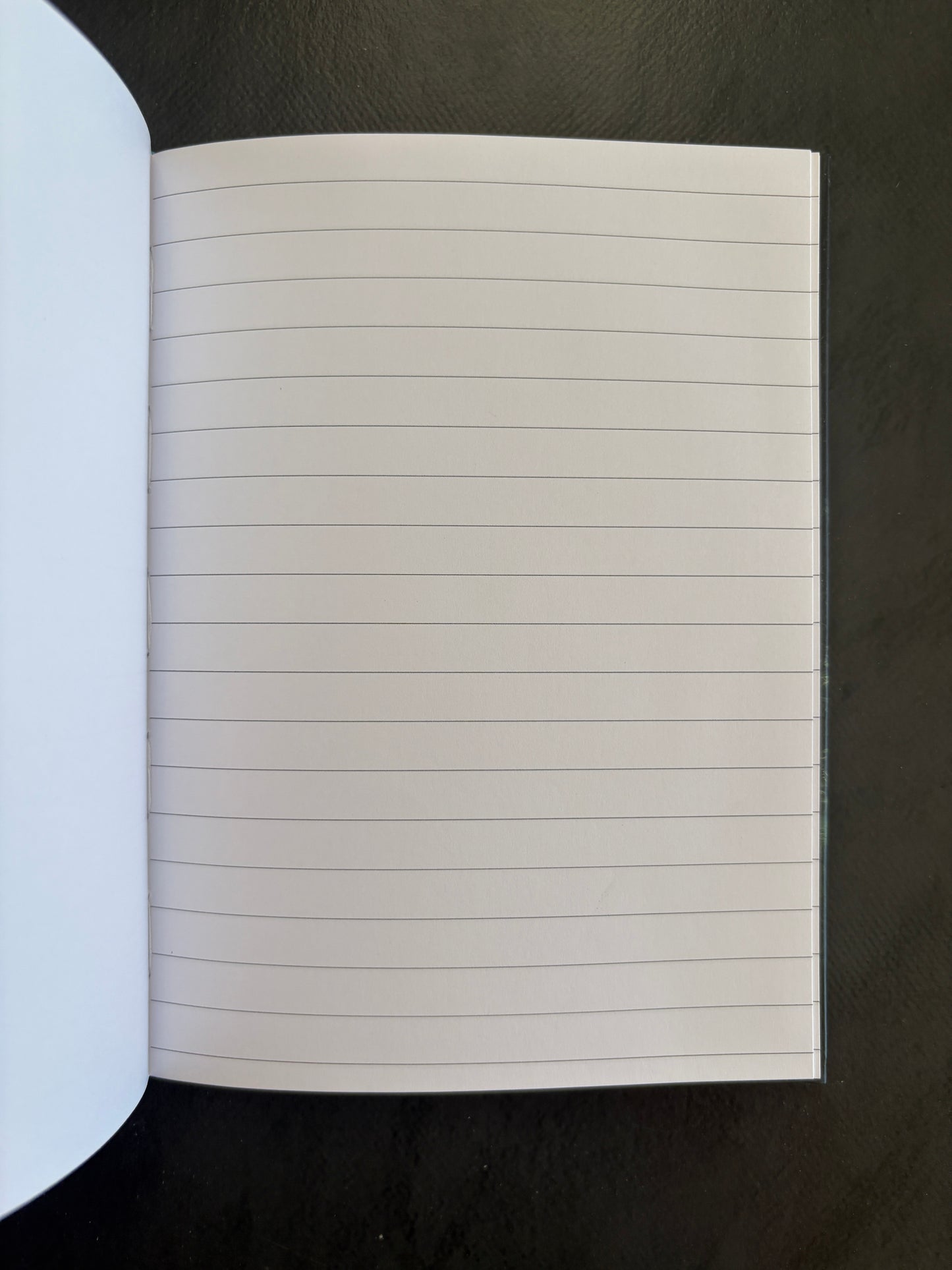 Carnet de notes - dinosaure