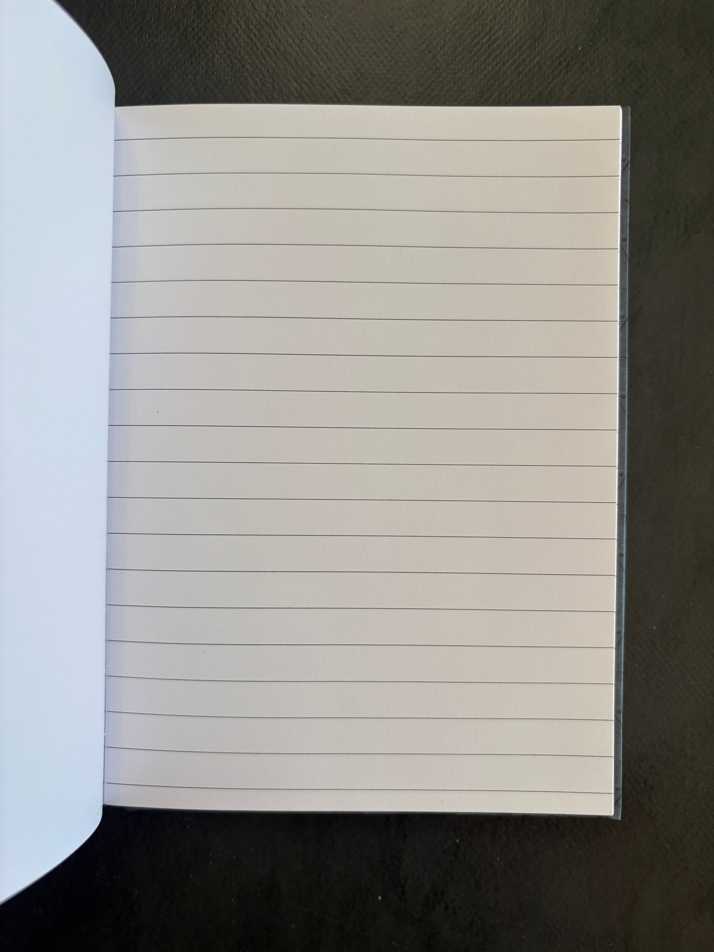 Carnet de notes - chevalier