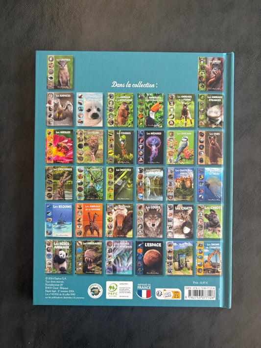 Tout un monde en photos - les phoques et les otaries