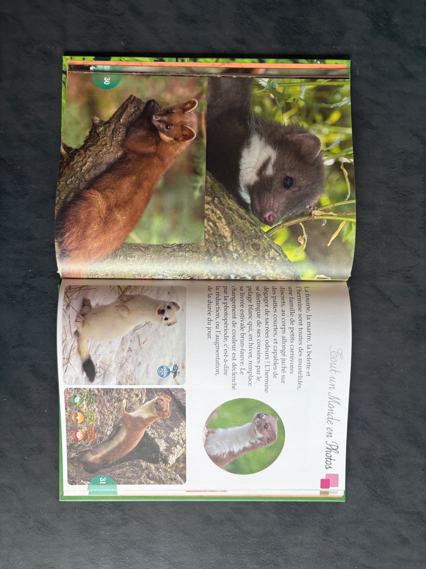 Tout un monde en photos - Les animaux de la montagne | 4-7 ans