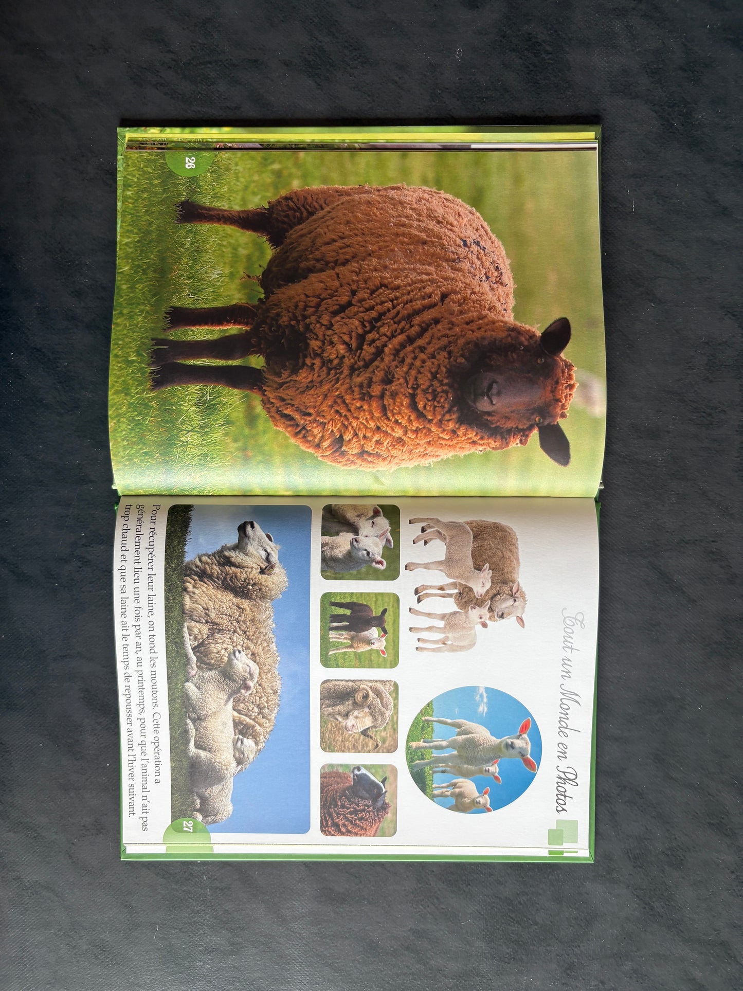 Tout un monde en photos - Les Animaux de la ferme (3-5 ans)