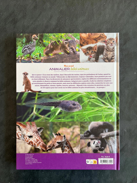 Mon grand animalier - Bébés animaux | 7-10 ans