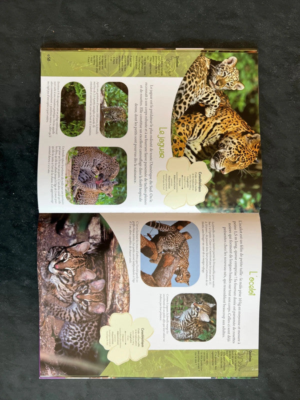 Mon grand animalier - bébés animaux