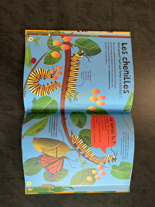 Mon premier documentaire - les insectes