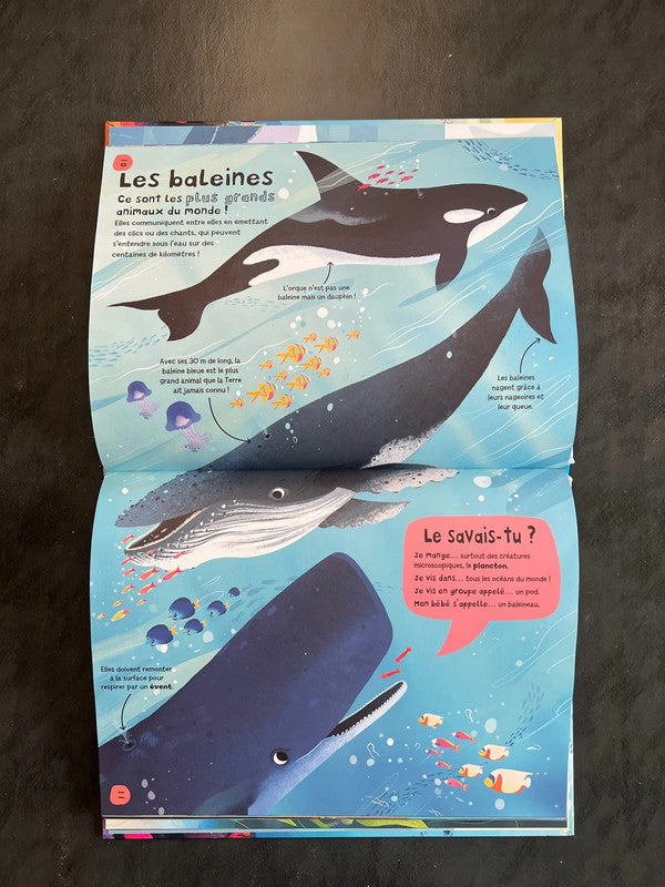 Mon premier documentaire pour découvrir l'océan - 5-7 ans