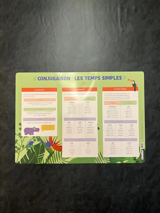 Poster - Conjugaison des temps simples | Pour apprendre en s'amusant