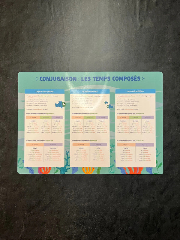 Poster - Conjugaison des temps composés (École primaire)