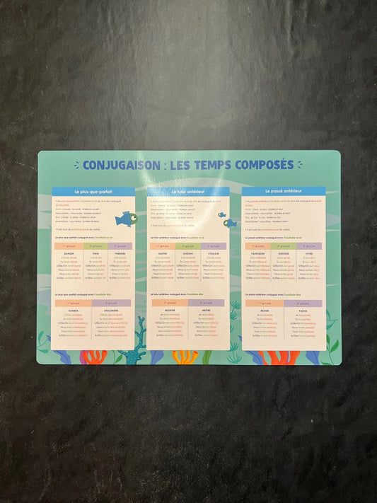 Poster - Conjugaison des temps composés (École primaire)