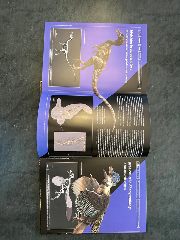 Petits dinosaures carnivores