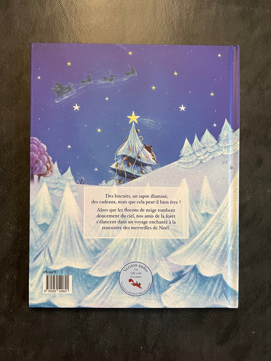 Le secret de Noël – Album jeunesse 4-6 ans