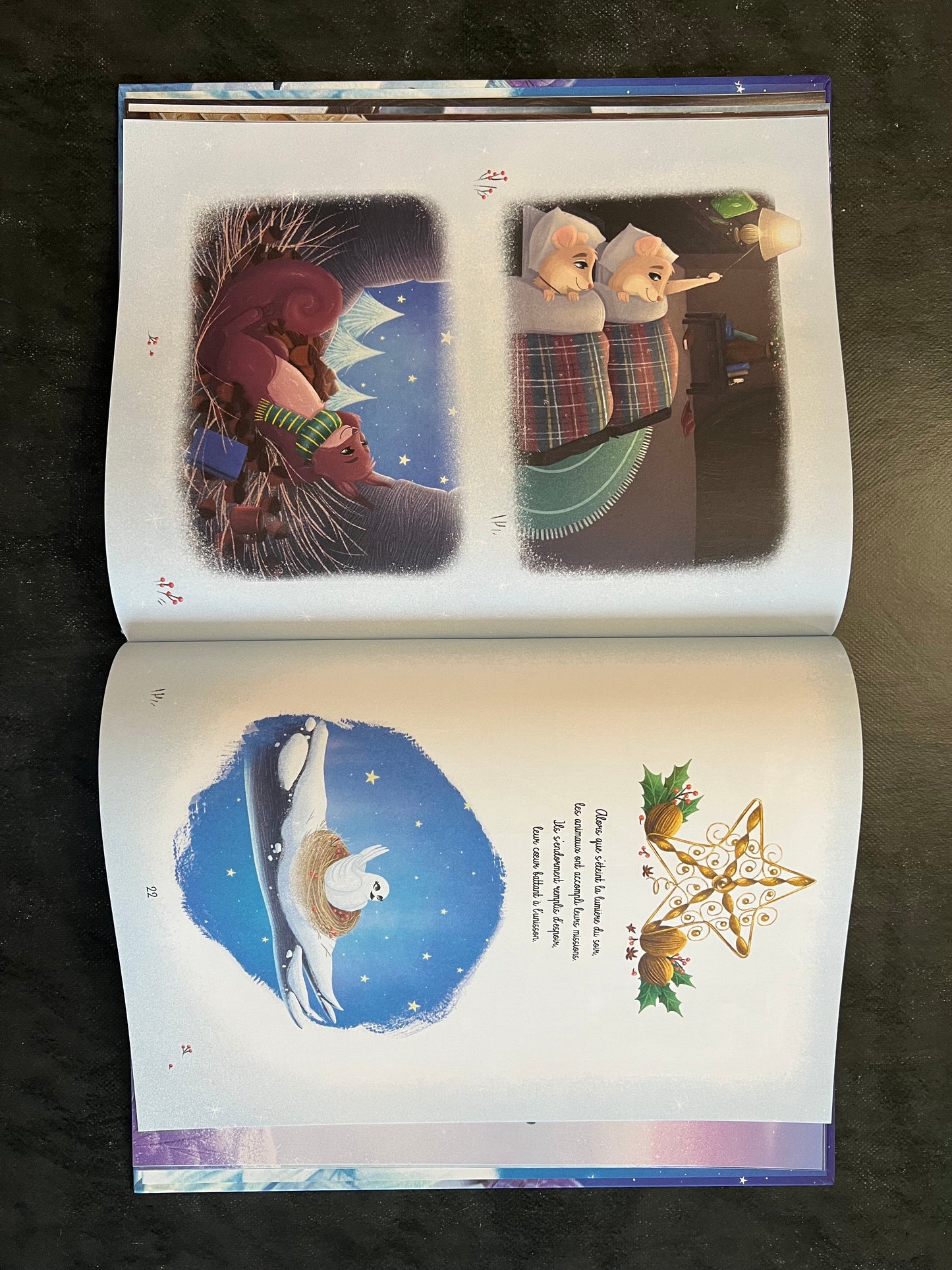 Le secret de Noël – Album jeunesse 4-6 ans