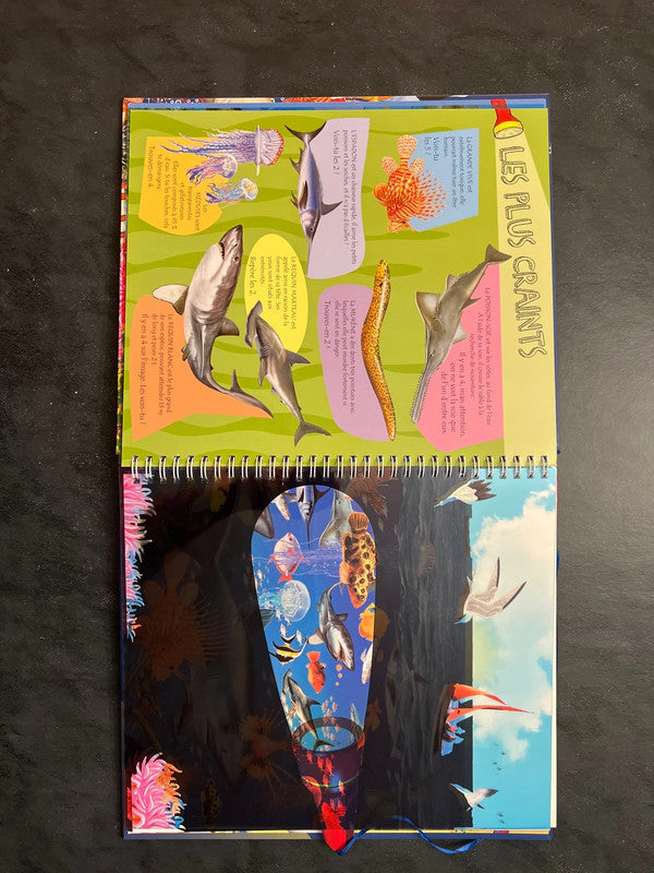 Lanterne magique - plonge à la découverte des animaux de la mer