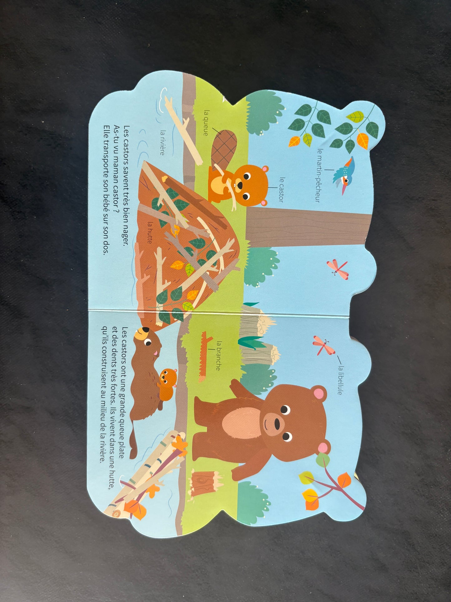 Livre cartonné - à l'aventure avec petit ours