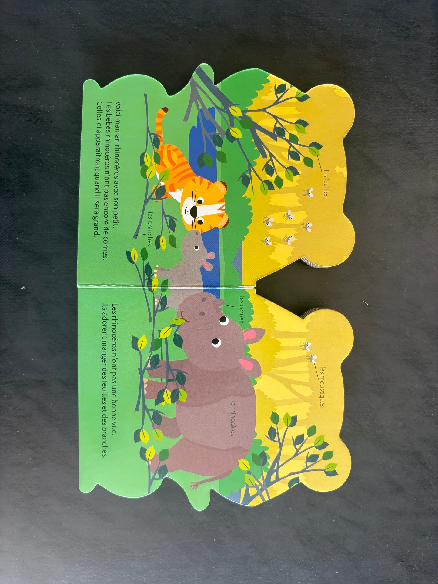 Livre cartonné - à l'aventure avec tigre