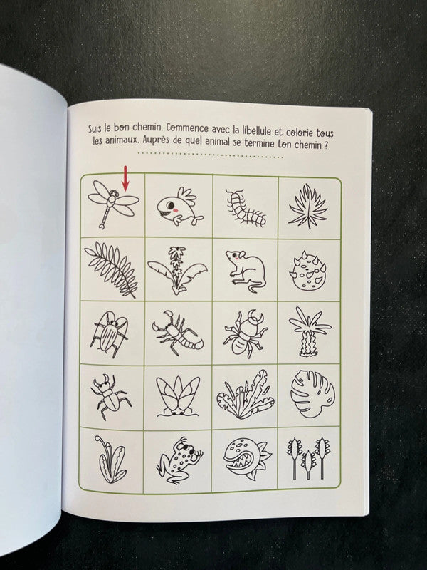 Mes premiers jeux de logique - les dinosaures (4-6 ans)