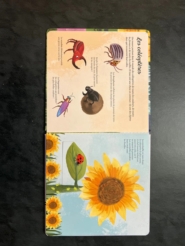 Livre à volets - Je découvre les petites bêtes (3-5 ans)