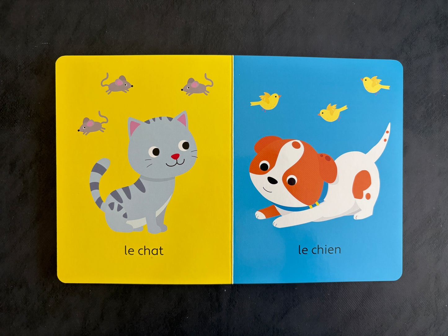 Livre cartonné - Ma journée