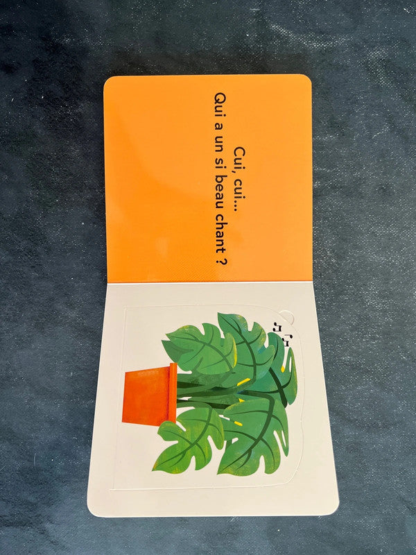 Qui se cache ? Les animaux familiers