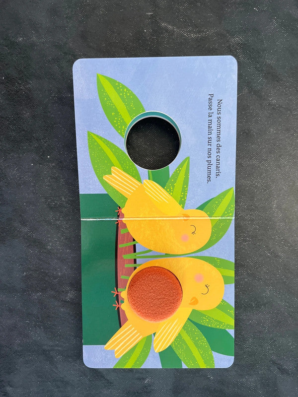 Livre cartonné - dans la maison