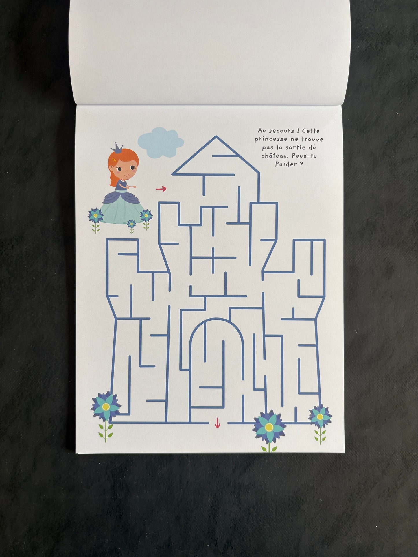 Livre Labyrinthes - Princesse, danseuses et fées - Dès 5 ans