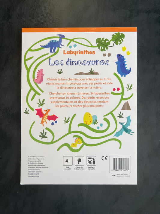 Livre Labyrinthes - les dinosaures