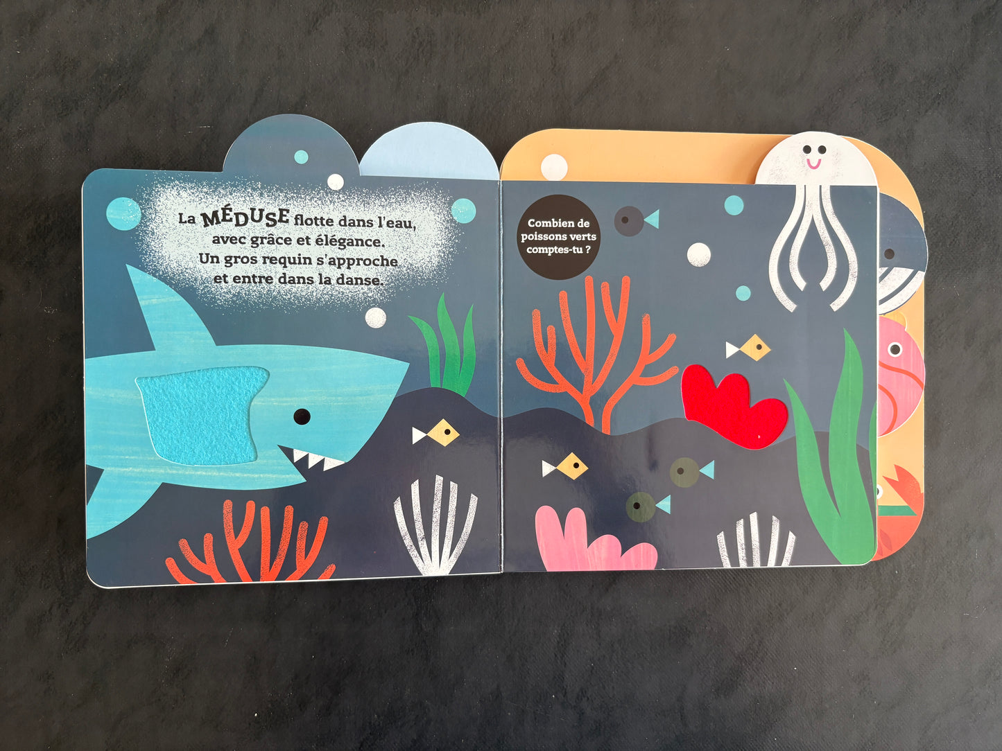 Livre à toucher - Les animaux de l'océan