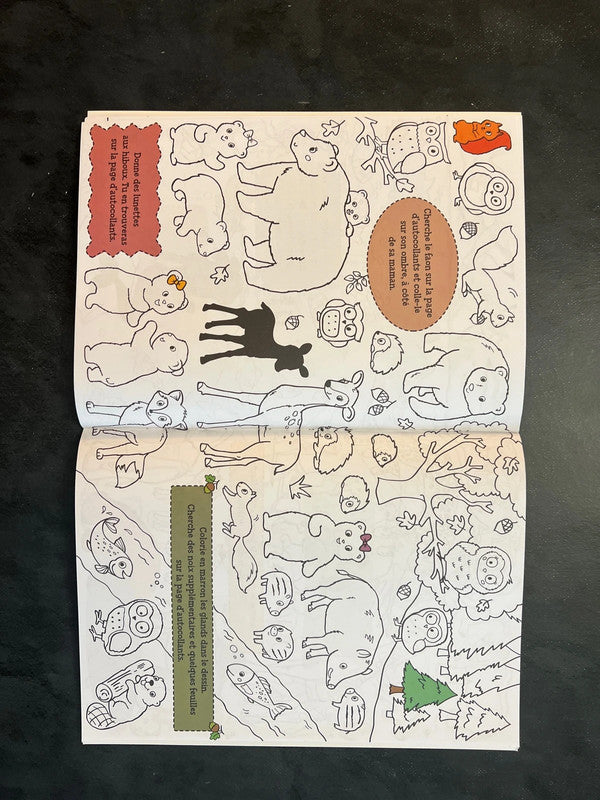 Cherche et colle - les animaux du monde