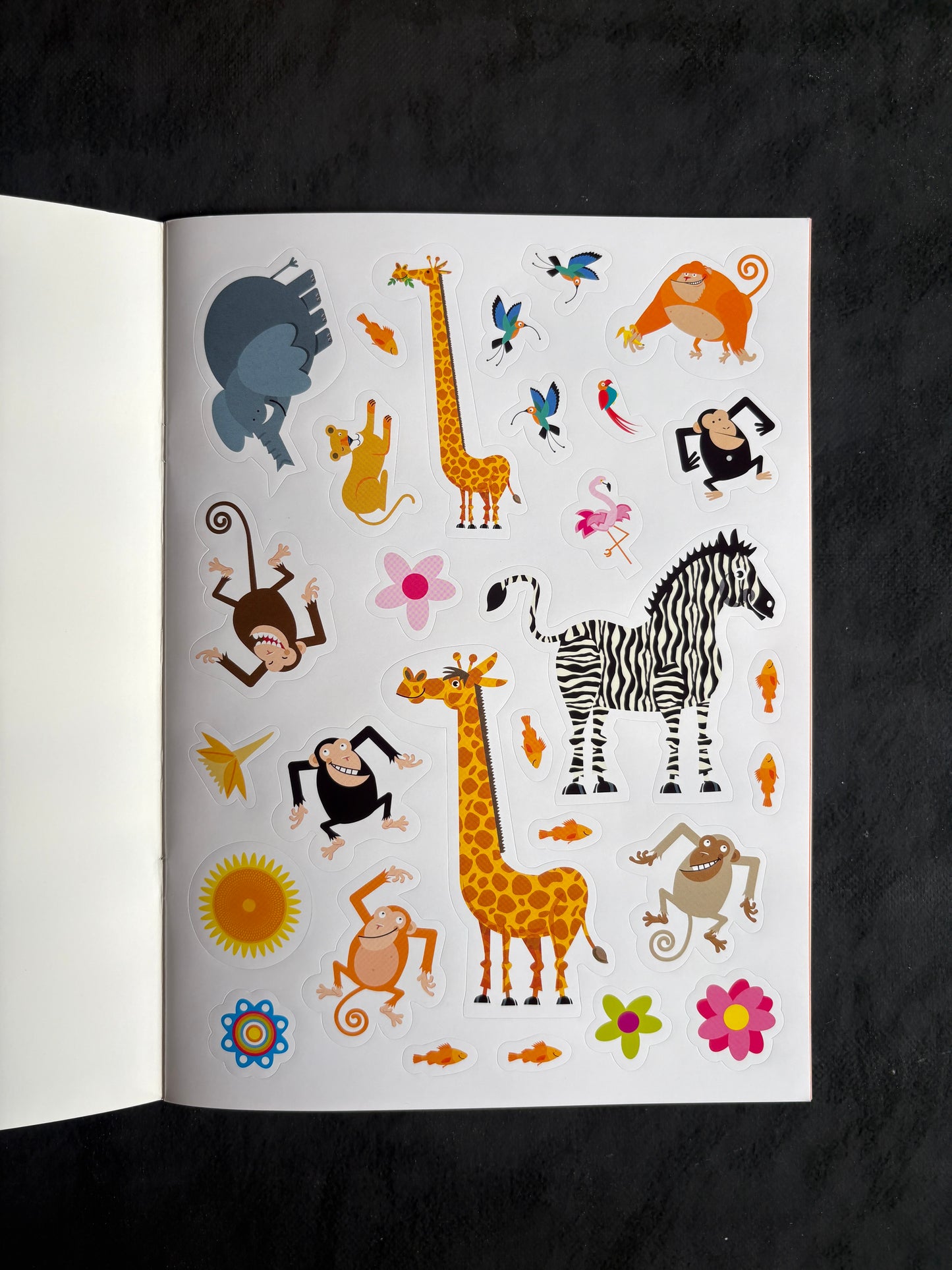 Animaux en folie - délire dans la jungle