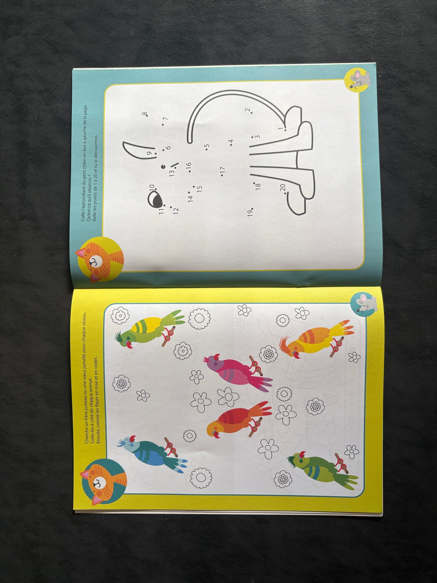 Animaux en folie - Ça déménage à la maison | Livre-jeu 4-6 ans