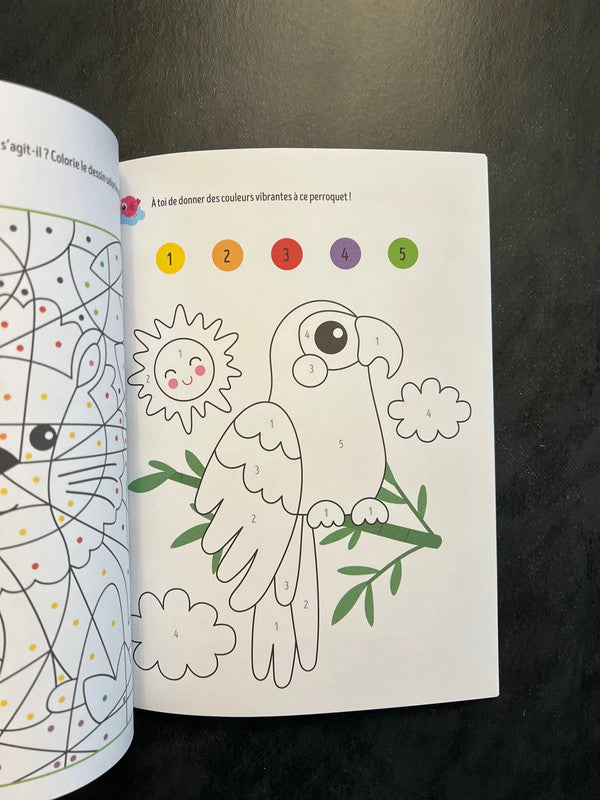 Mon livre de jeux - coloriages codés