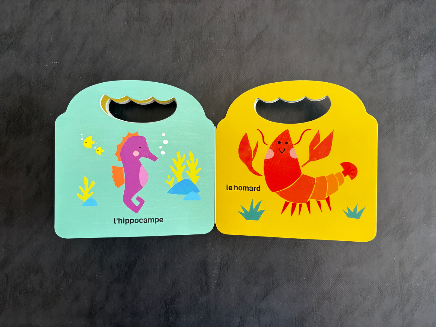 Livre cartonné - Sous l'eau