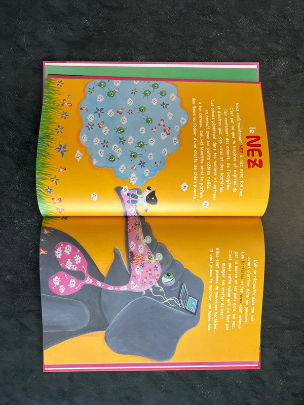 Scan, organe, crâne, t’es pas un âne !