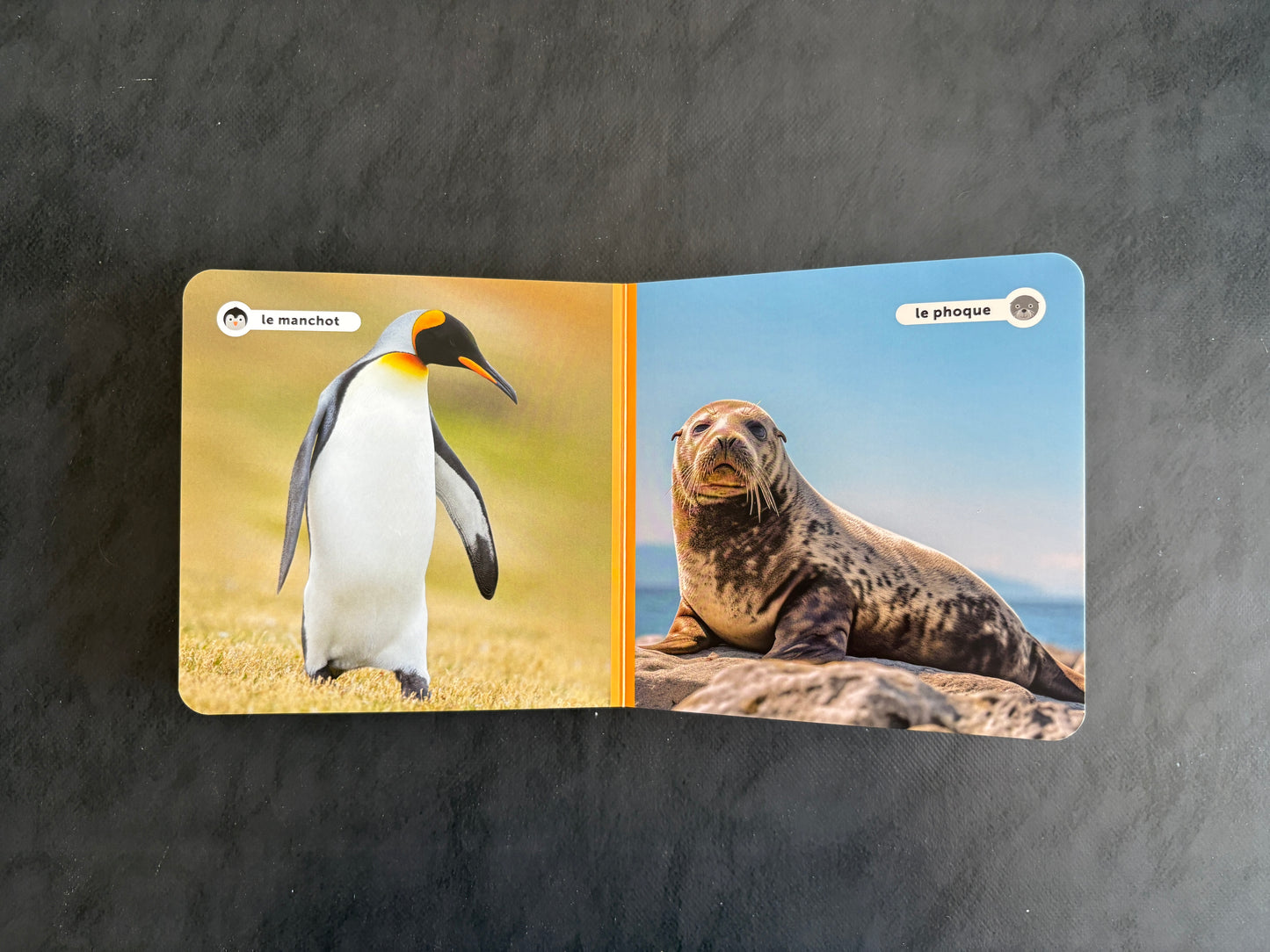 Mes amis les animaux - Les animaux sauvages (3-6 ans)