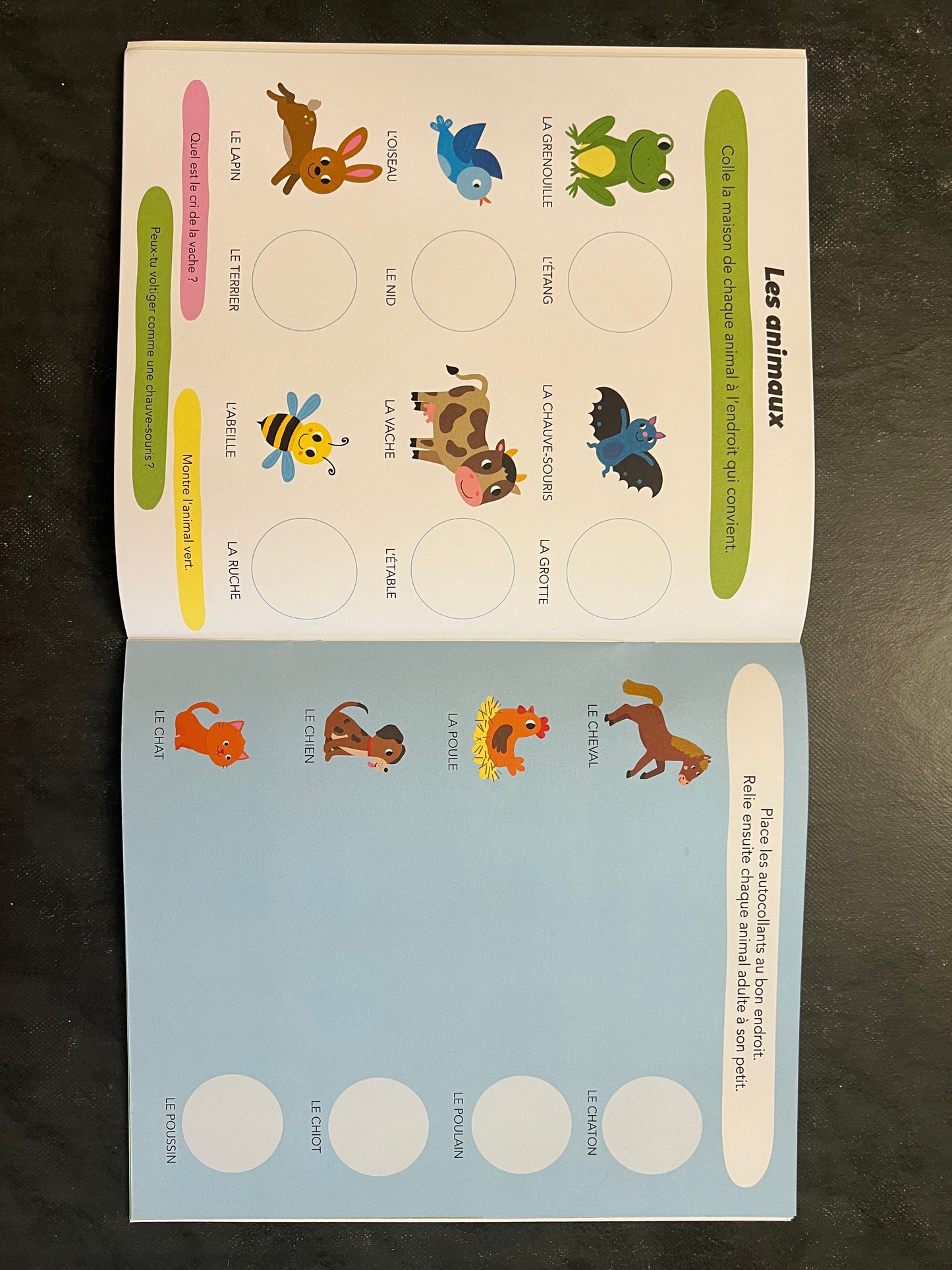 Mes premiers apprentissages - dès 4 ans