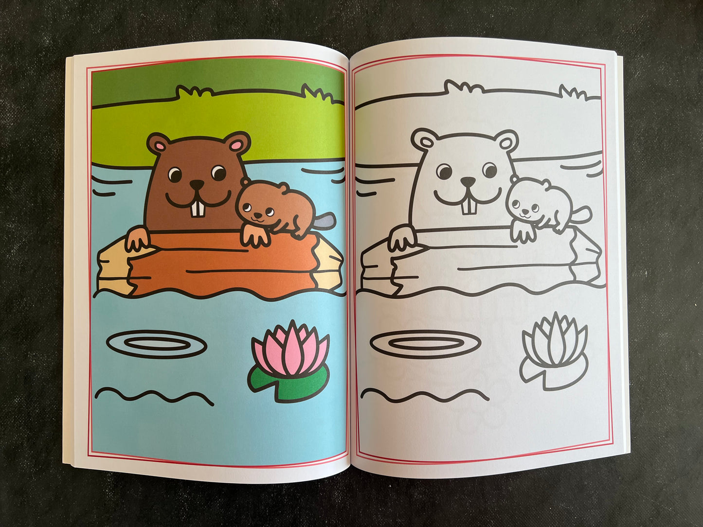 Mon grand livre à colorier - les bébés animaux