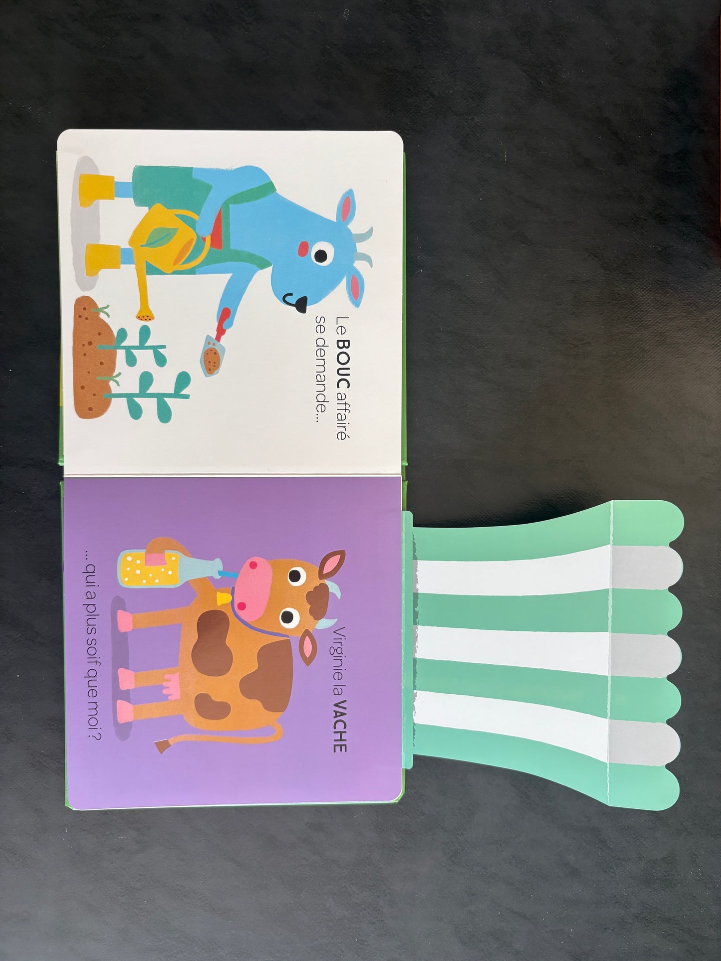 Sous le rabat... me voilà - Animaux de la ferme